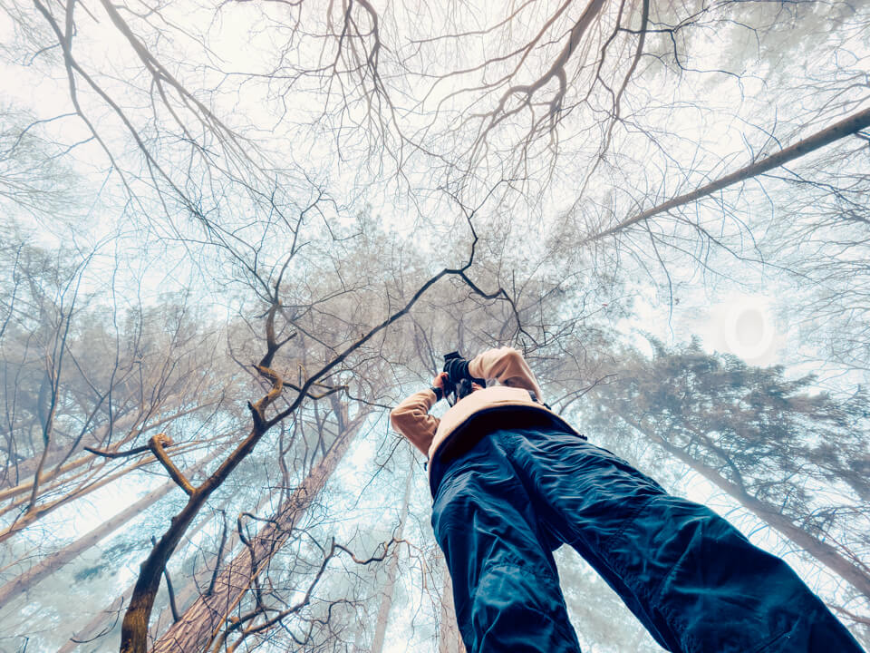 A ground up shot showing photographer Elton standing in a forest taking pictures