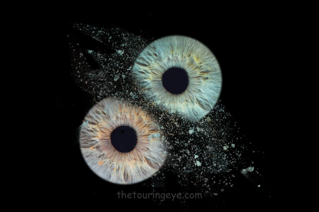 An image of two irises clashing. Iris photography Iris photographer. Iris photography pop up.