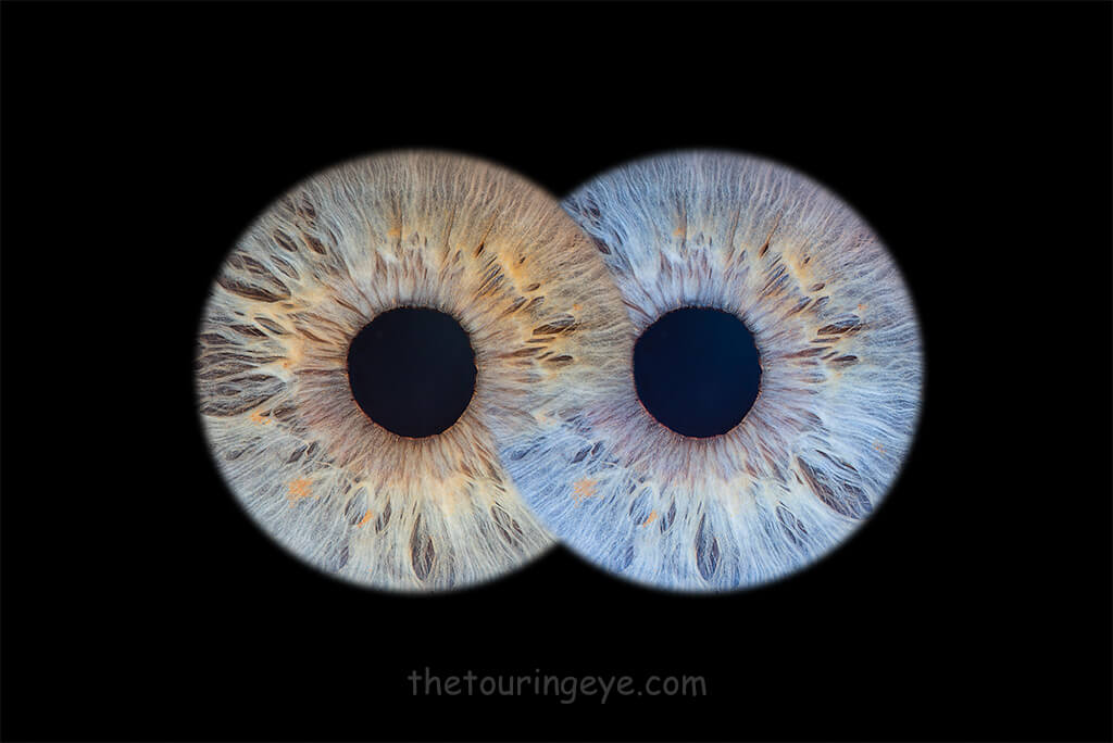 Infinity irises. Iris photography