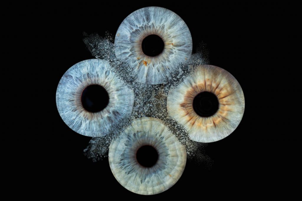 Four irises in a diamond shape with clash effect. Iris photogrpahy