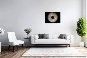 A light coloured living room with an iris photography print on the wall