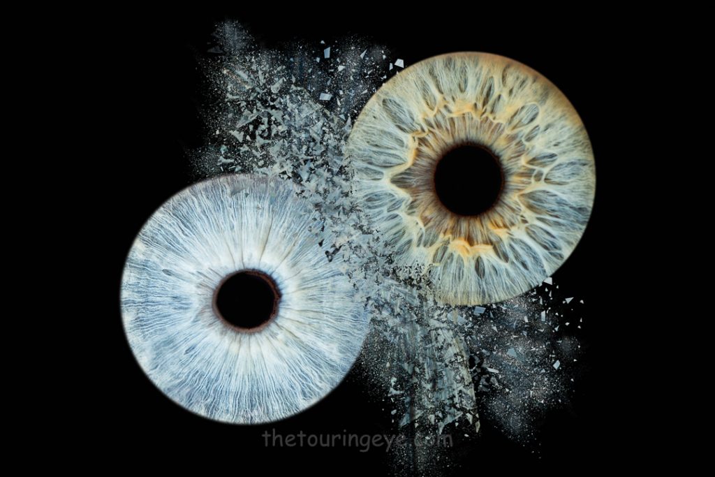 A blue iris clashes with a hazel iris with debris flying in all directions on a black background. Haverhill, Suffolk Iris Photography Pop Up Event Gallery