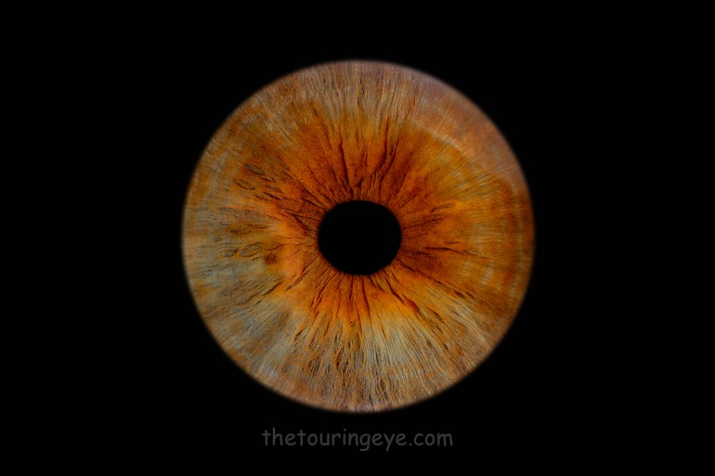 Brown iris with lighter areas on a black background. Haverhill Suffolk Iris Photography Pop Up Event Gallery. Eye Photography