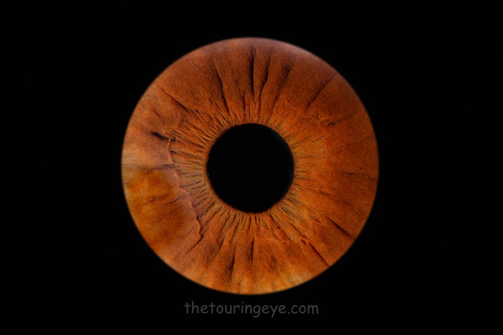 Dark brown iris on a black background. Haverhill Suffolk Iris Photography Pop Up Event Gallery. Eye Photography
