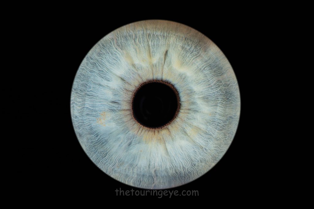Light blue iris on a black background. Haverhill Suffolk Iris Photography Pop Up Event Gallery. Eye Photography