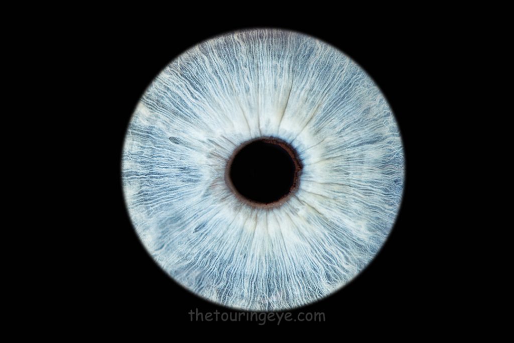 Very light blue iris on a black background. Haverhill Suffolk Iris Photography Pop Up Event Gallery. Eye Photography