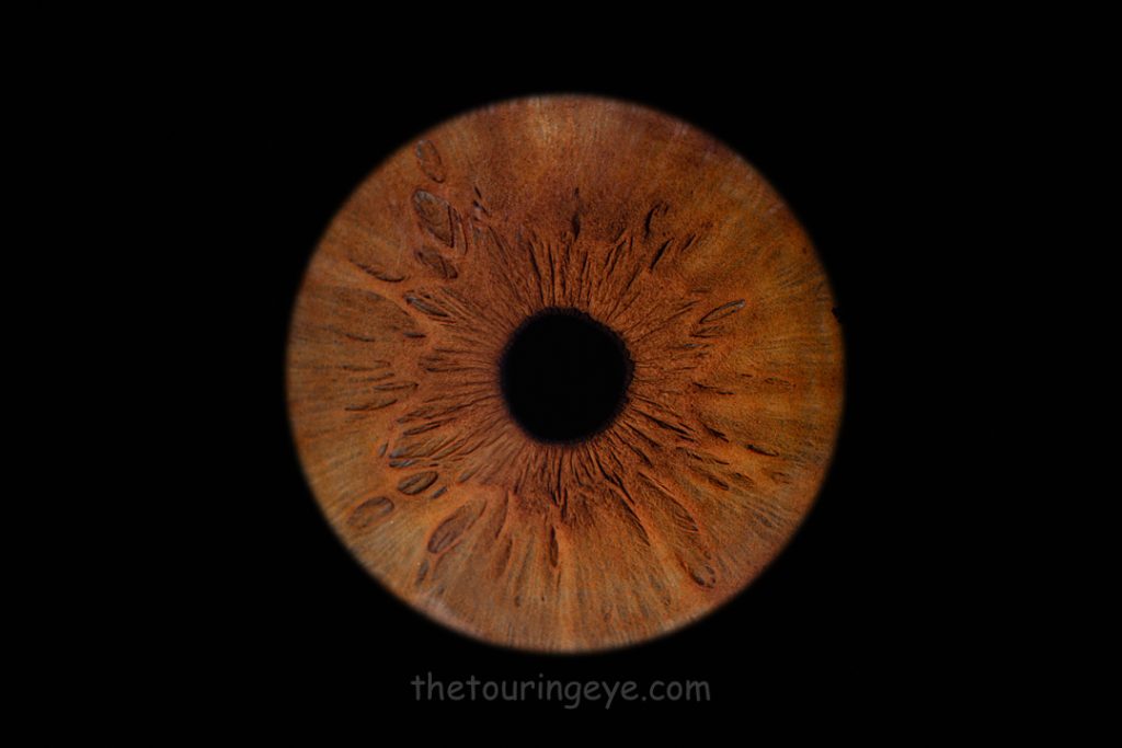 Dark brown iris on a black background. Haverhill Suffolk Iris Photography Pop Up Event Gallery. Eye Photography