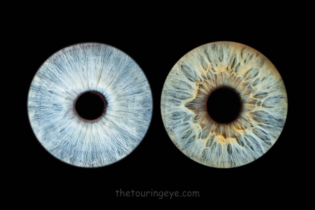 A light blue iris alongside a hazel iris on a black background. Haverhill Suffolk Iris Photography Pop Up Event Gallery. Eye Photography
