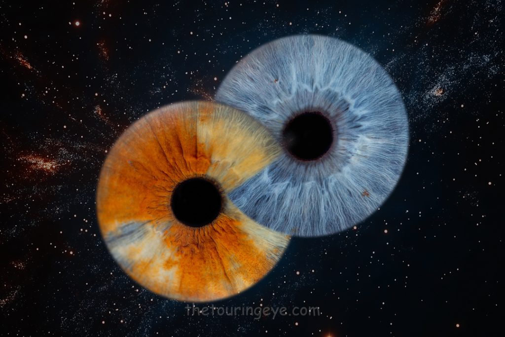 A multicoloured iris in an infinity loop edit with a blue iris with a space background. Haverhill, Suffolk Iris Photography Pop Up Event Gallery
