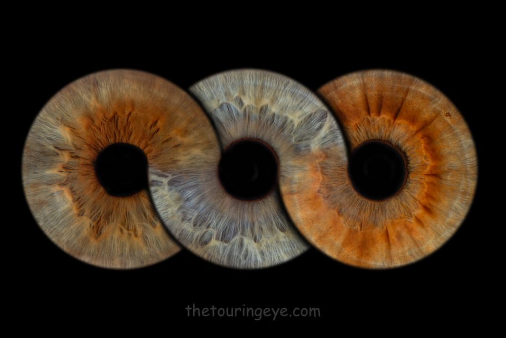 3 eye irises in an infinity loop. Iris photography UK. Eye photography UK.