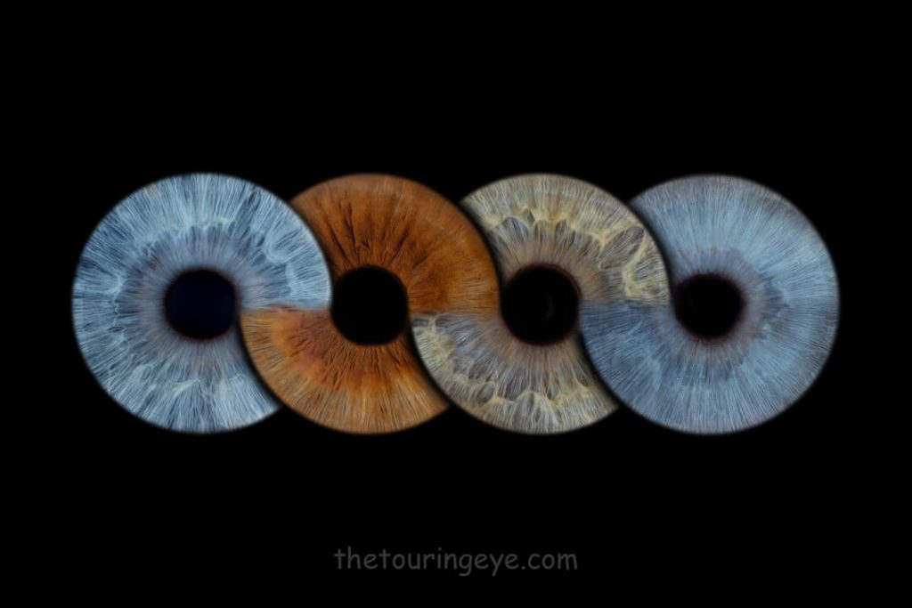Four eye irises in an infinity loop. Eye photography. Iris photography