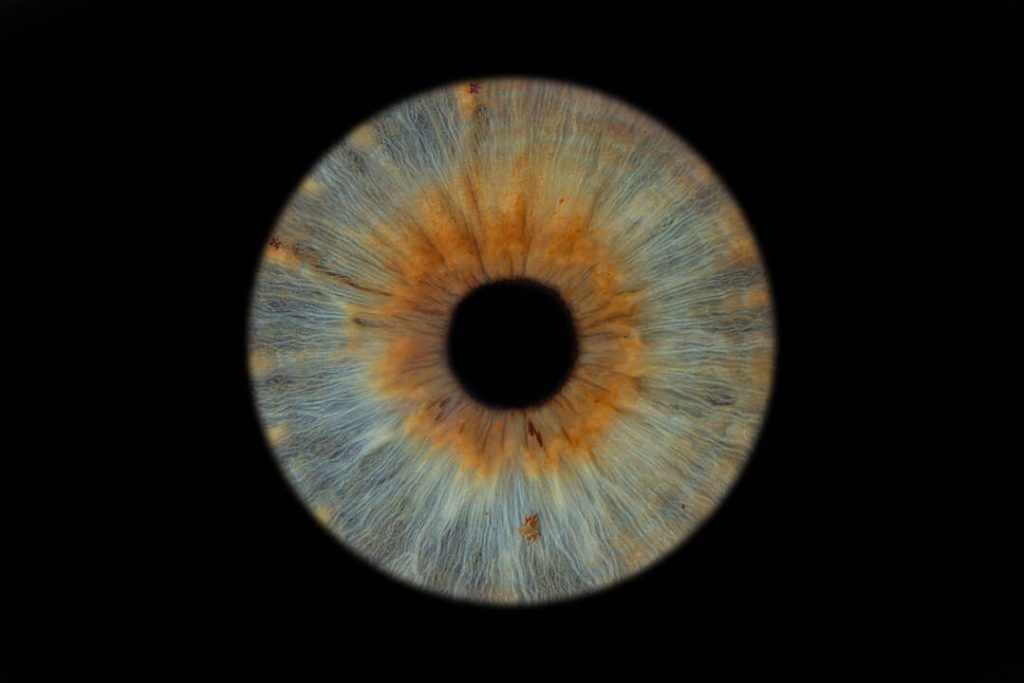 Single blue / green eye iris against a black background. Eye photography. Iris Photography