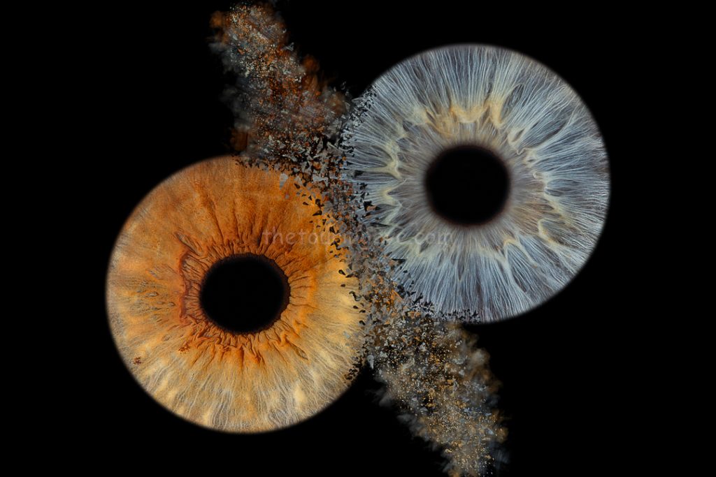 A brown eye iris clashes with a blue iris with particles scattering. Iris photography. Eye photography.