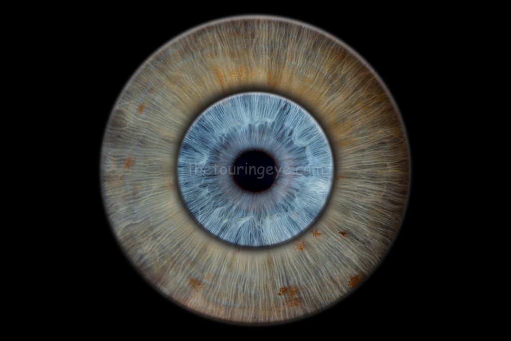 A blue eye iris sits in the middle of a hazel grey eye iris representing a couple or siblings. Iris photography. Eye photography