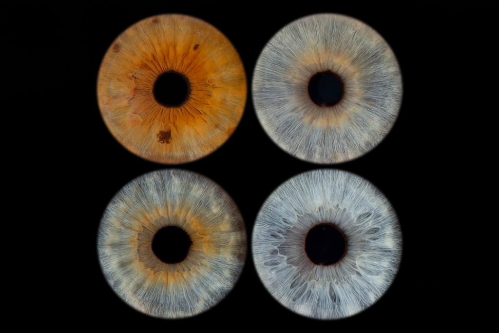 4 eye irises with two at the top and two below. Eye photography. Iris photography UK