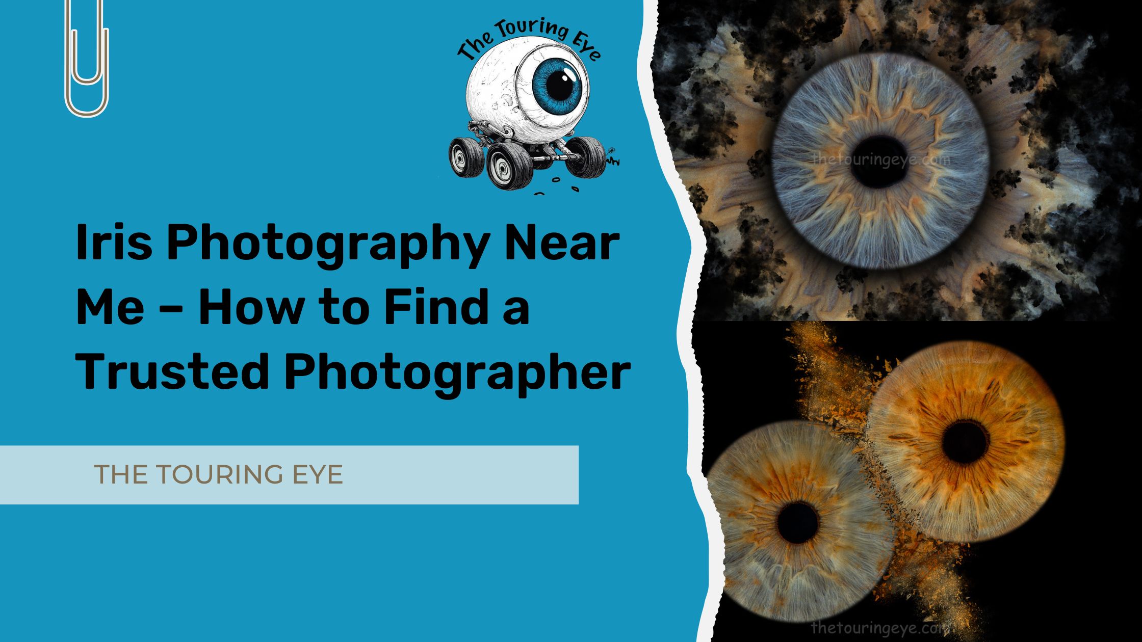 Iris Photography Near Me – How to Find a Trusted Photographer
