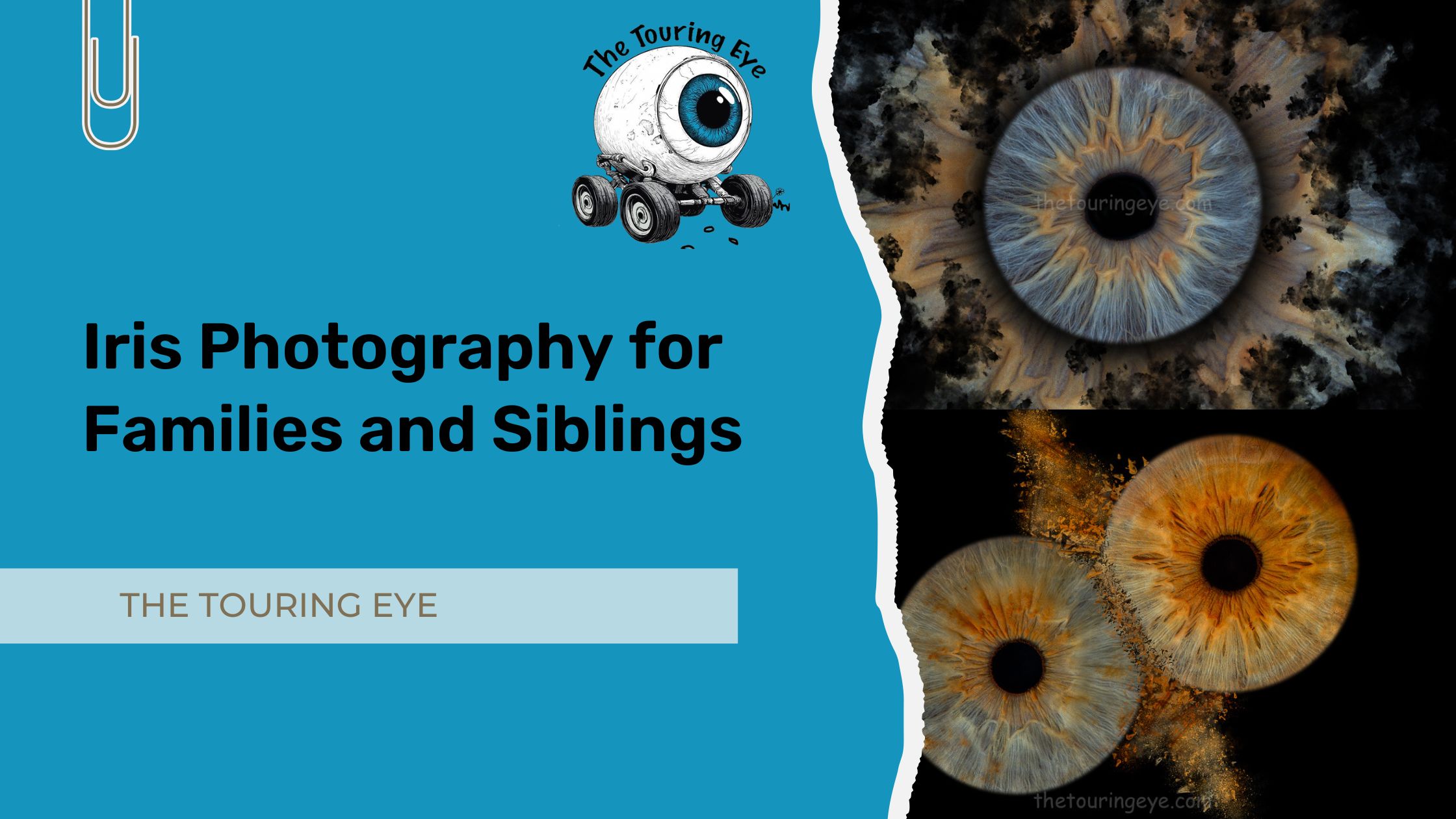 Iris Photography for Families and Siblings