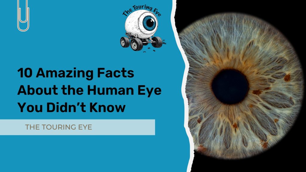 10 Amazing Facts About the Human Eye You Didn’t Know. Iris photography UK. Eye photography UK. Close up eye photography.