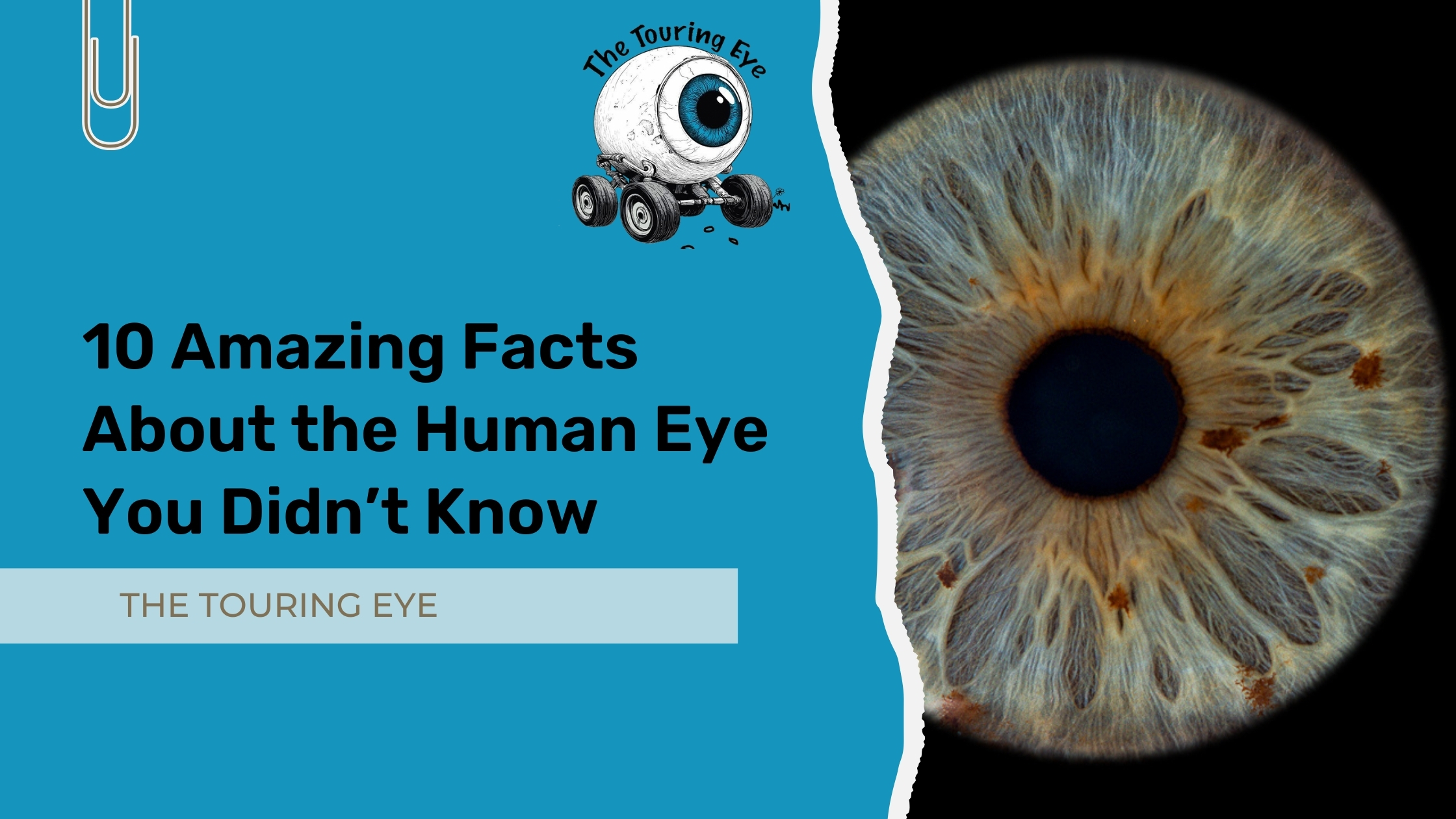 10 Amazing Facts About the Human Eye You Didn’t Know
