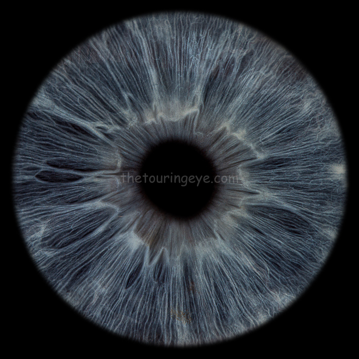 A dark blue eye iris on a black background. Iris photography UK. Eye photography UK. Close up eye photography UK