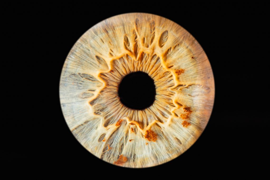 An almost white iris showing several freckles. Iris photography UK. Eye photography UK. Close up eye photography