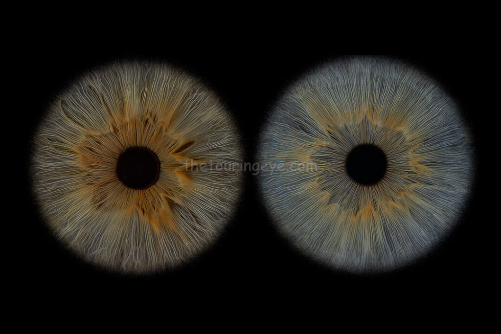 A hazel eye sat next to a blue eye iris shown in high detail. Iris photography. Eye photography. The Touring Eye