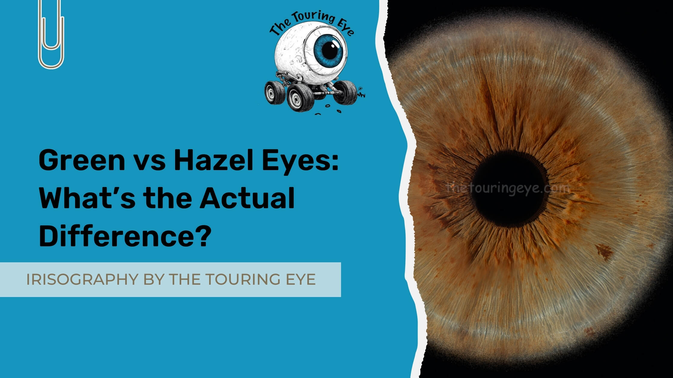 Green vs Hazel Eyes: What’s the Actual Difference?