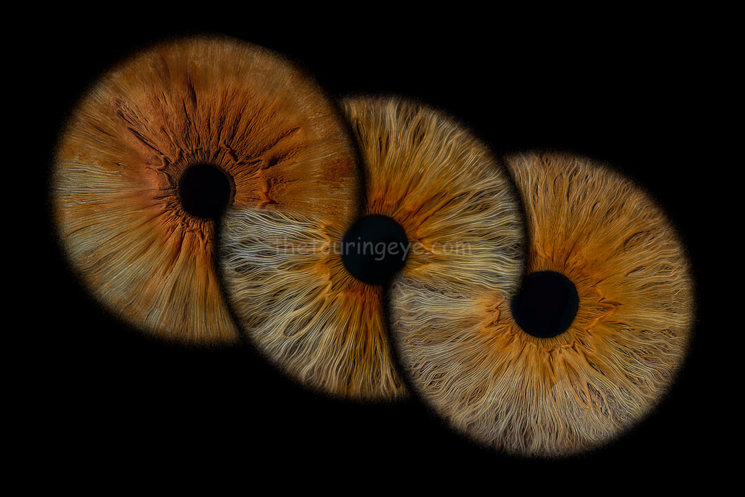One of a kind eye art showing 3 different eye irises linked in an infinity loop. Iris photography. Eye photography. The Touring Eye. UK