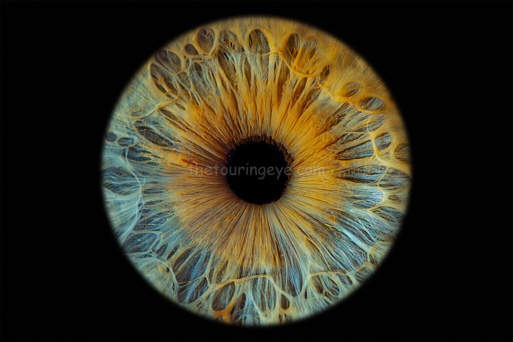 A closeup macro image of a blue and amber eye iris in high detail. Iris photography. Eye photography. The Touring Eye. UK