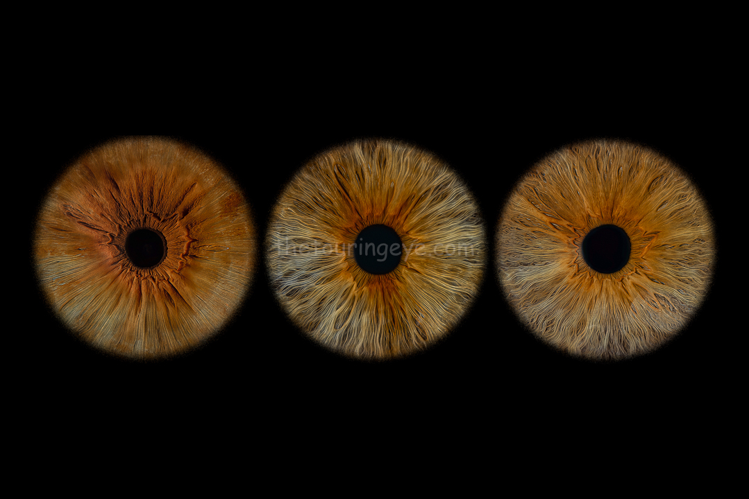 A family eye iris portrait showing 3 high definition, close up macro images of 3 different eyes. Iris photography. Eye photography. The Touring Eye. UK