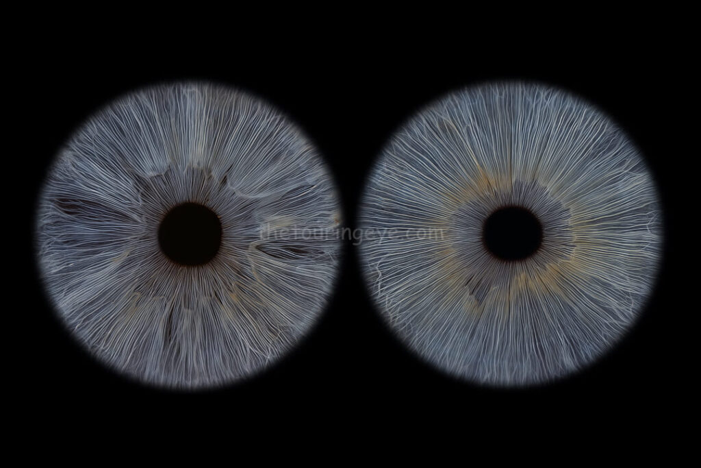 Highly detailed macro image of a darker blue and a lighter blue eye irises side by side. Iris photography. Eye photography. The Touring Eye. UK