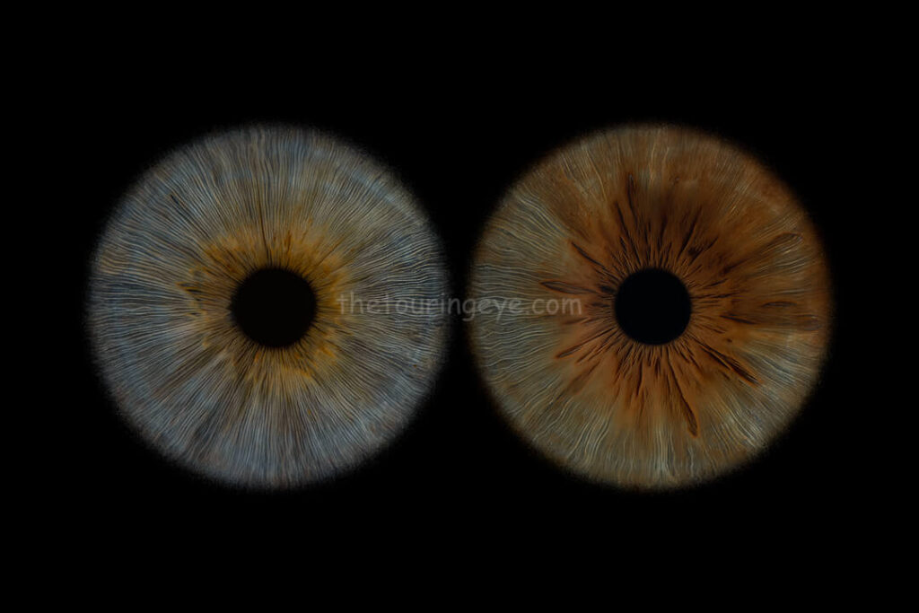 Highly detailed macro image of a blue eye with amber areas and a hazel eye irises, side by side. Iris photography. Eye photography. The Touring Eye. UK