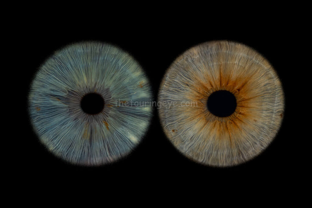An eye iris artwork showing a blue eye and a hazel eye side by side. Iris photography. Eye photography. The Touring Eye. UK