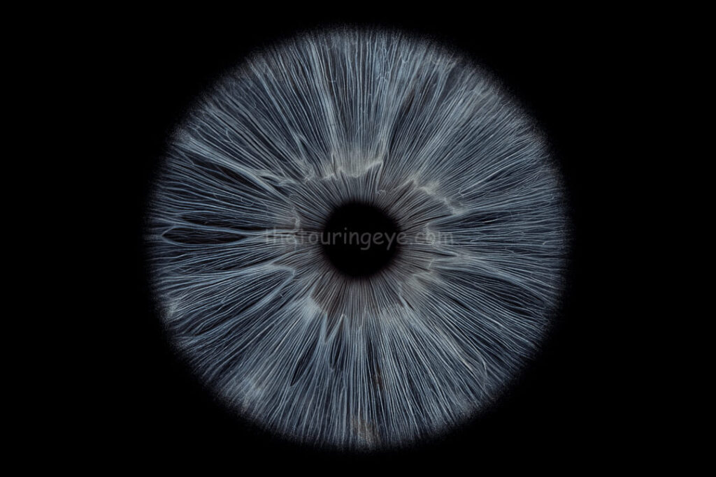 A closeup macro image of a dark blue eye iris in high detail. Great Yarmouth Eye Photography Event.. Iris photography. Eye photography. The Touring Eye. UK