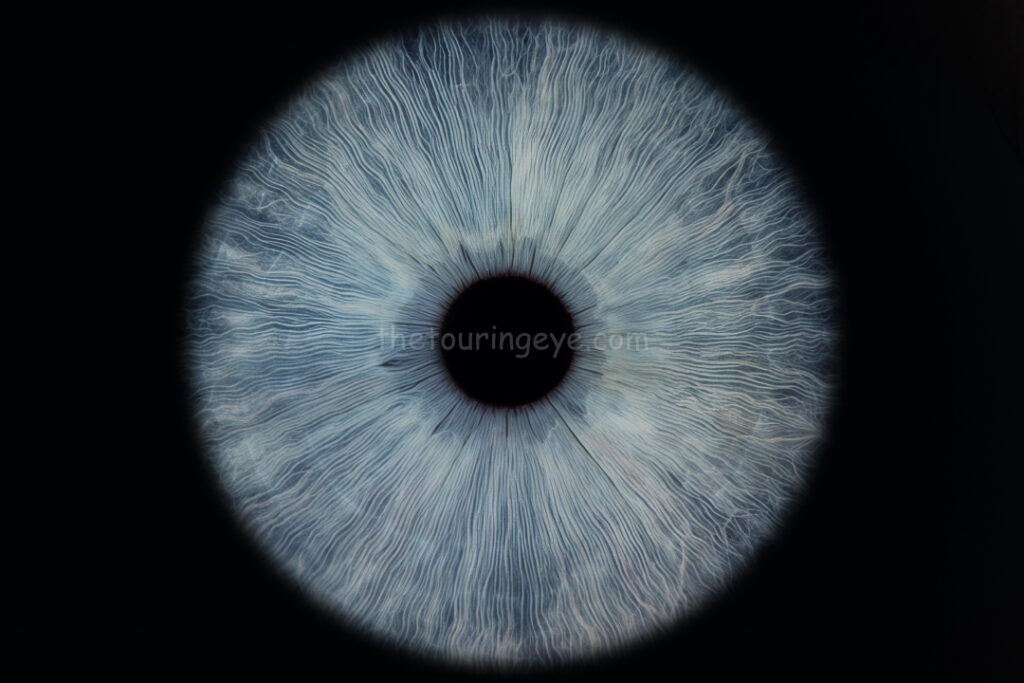 A striking blue eye iris against a black background. Iris eye photography. The Touring Eye. Eye photography UK