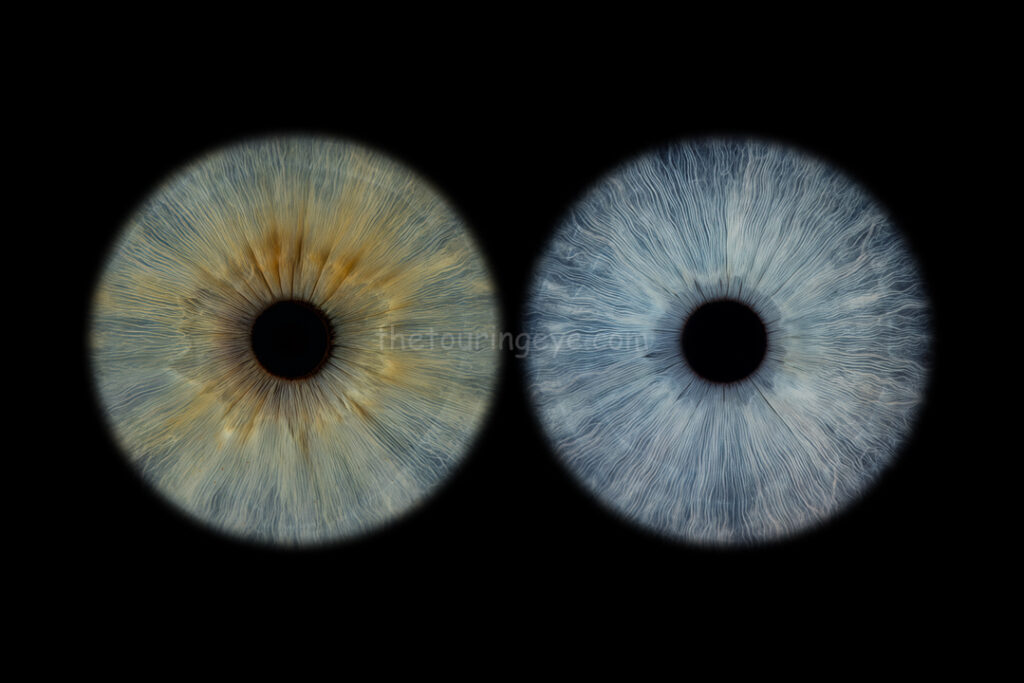 Two different blue irises side by side. The Touring Eye. Iris eye photography. Eye photography UK