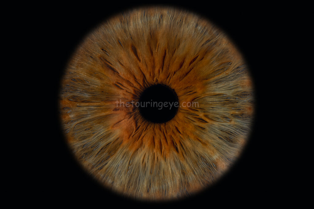 A dark hazel eye against a black background. Iris eye photography. Eye photography. The Touring Eye