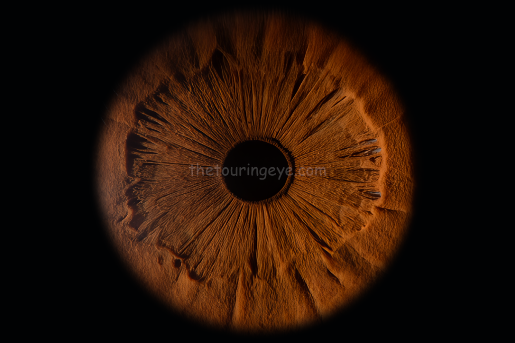 A macro, closeup image of a brown eye iris showing ridges, light and dark areas and a lot of detail. Iris eye photography. The Touring Eye. Eye photography. 