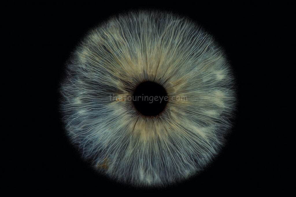 A macro, close up image of a blue eye showing white spots and also yellow colourings around the pupil area. The Touring Eye. Iris eye photography. Iris photography. Eye photography
