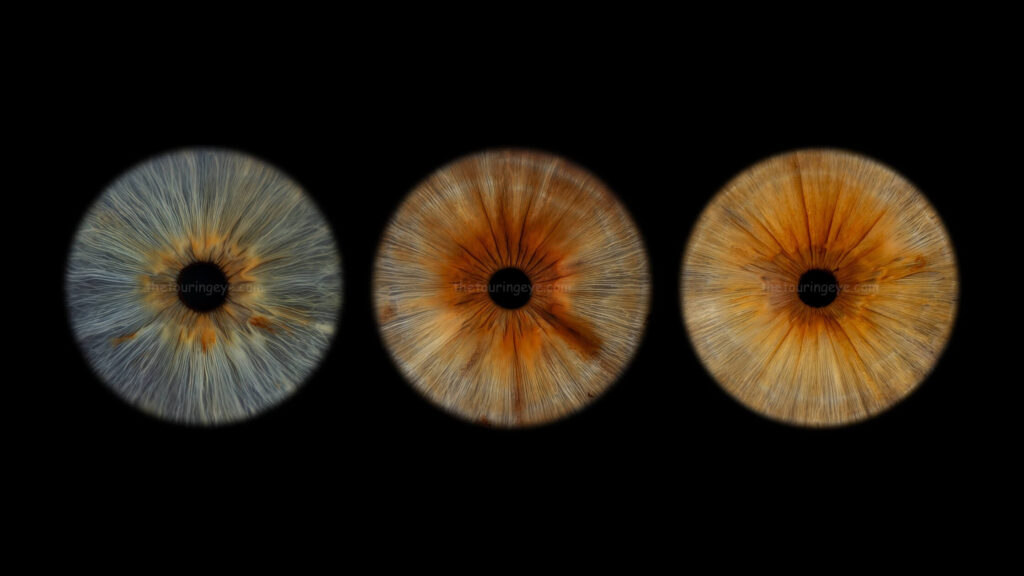 A banner image showing three different eye irises with Central Heterochromias. Iris eye photography. The Touring Eye. Eye photography. UK