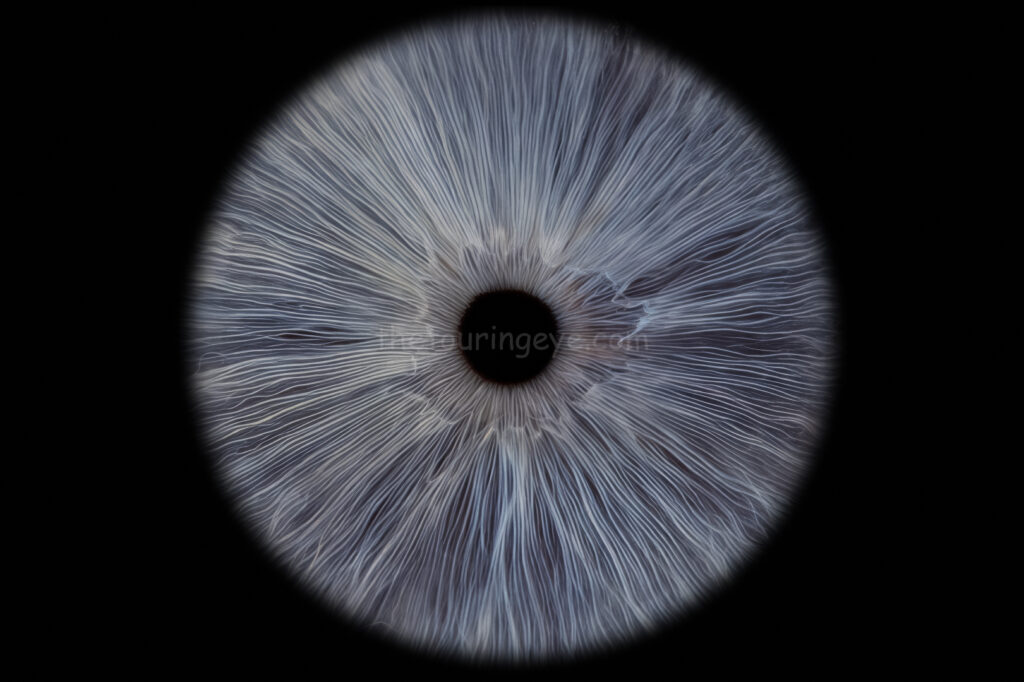 Dark blue eye iris. Iris eye photography. Iris photography. Eye photography. The Touring Eye