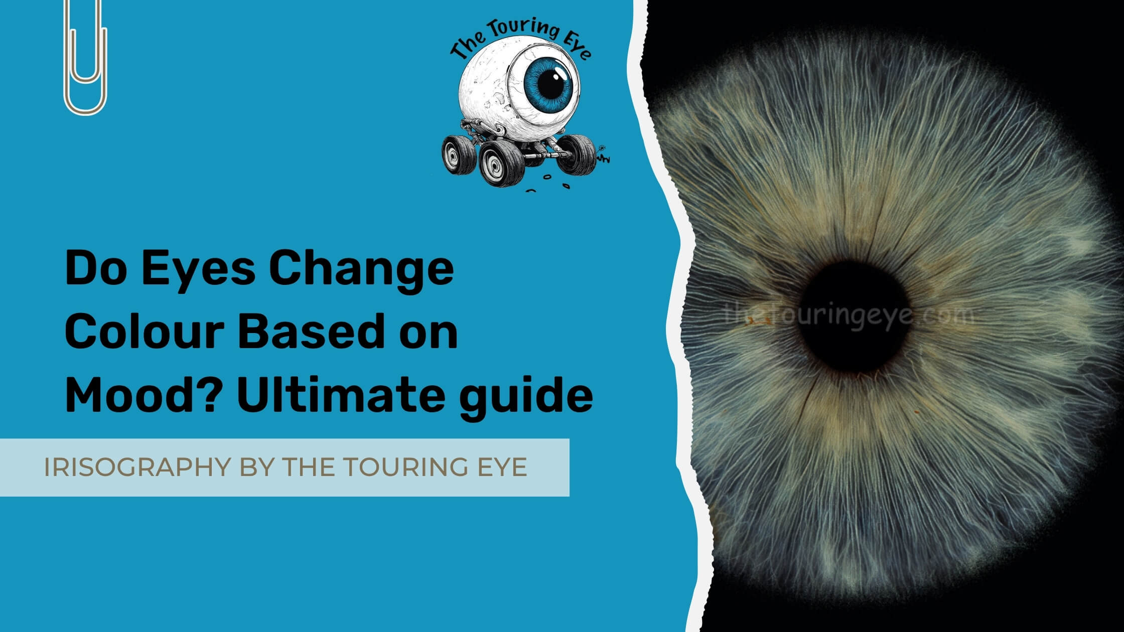 Do Eyes Change Colour Based on Mood? Ultimate guide