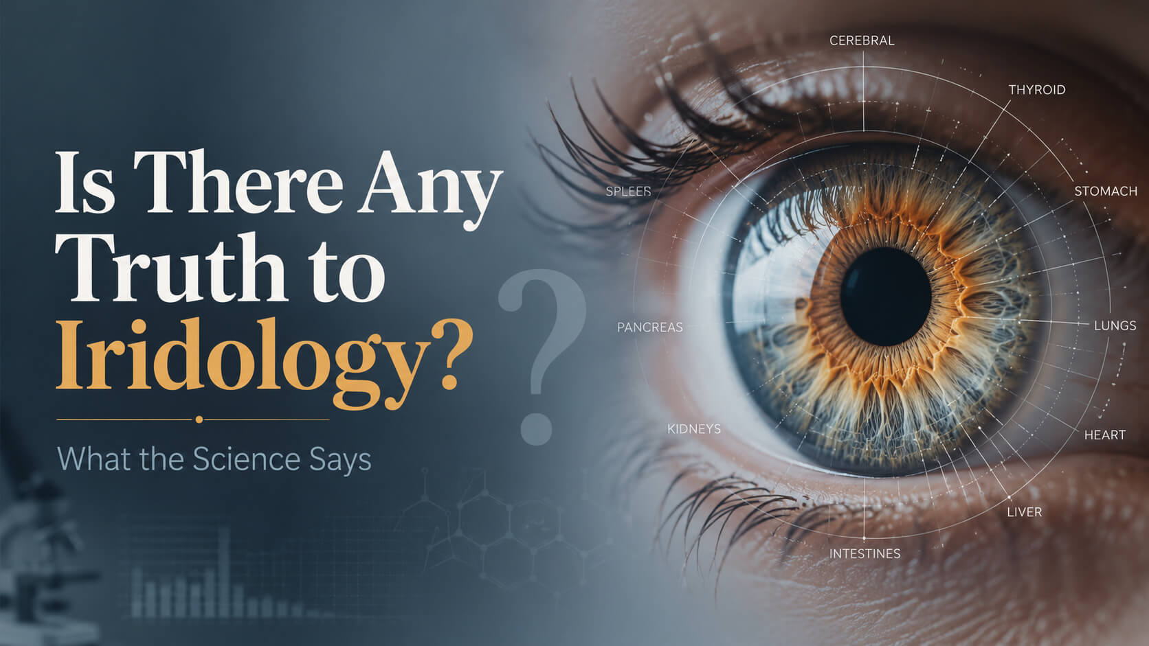 Is There Any Truth to Iridology? What the Science Says article cover image. Iris eye photography. Eye photography. Iris photography. The Touring Eye. UK