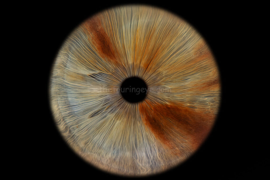A Hazel eye with very distinct brown patches. Iris eye photography. Iris photography. Eye Photography. The Touring Eye. UK