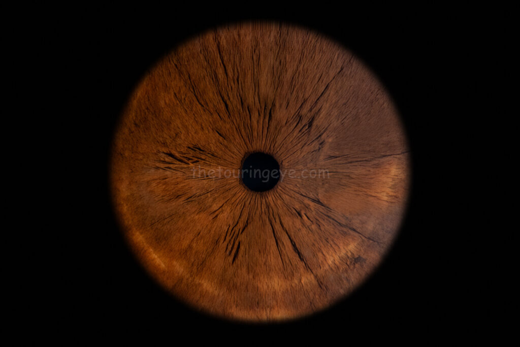 A brown eye under macro photography showing detail not typically seen. Iris eye photography. Eye photography. The Touring Eye