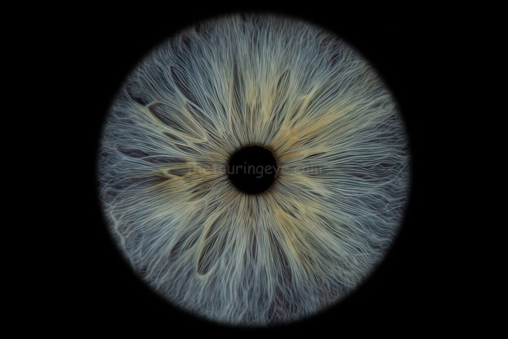 A blue eye with a yellow Central Heterochromia. Iris eye photography. Iris photography. Eye Photography. The Touring Eye. UK