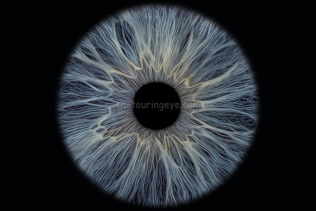 A darker blue eye iris showing highly detailed structures. There are slithers of yellow in some parts. Iris eye photography. Iris photography. Eye photography. The Touring Eye