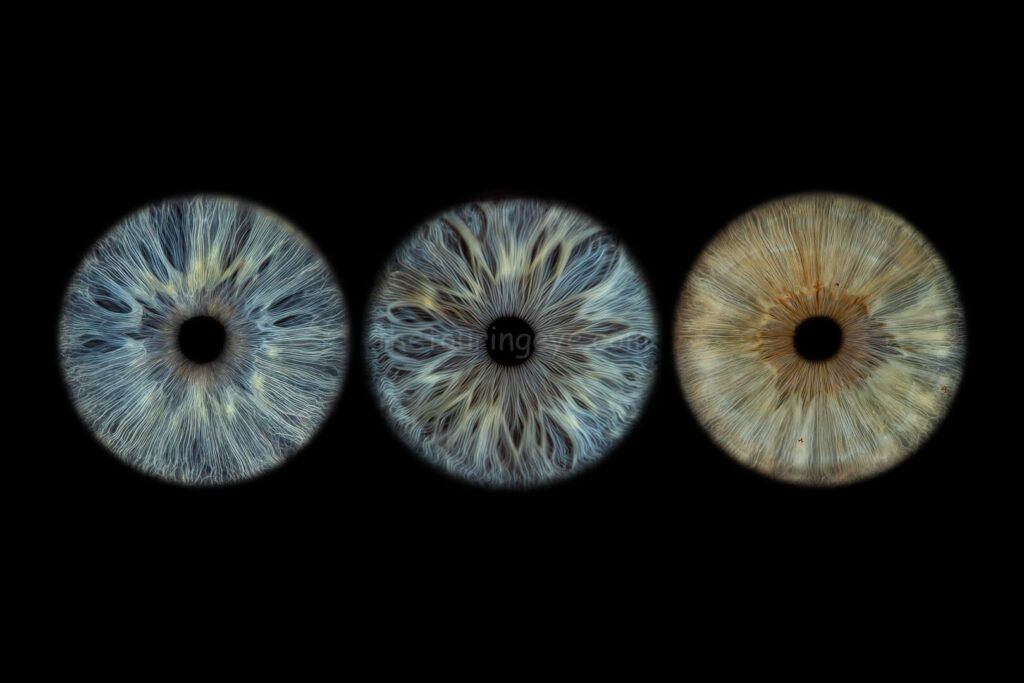 A family eye iris portrait showing 3 high definition, close up macro images of 3 different eyes. All 3 are different shades and hues of blue. Iris photography. Eye photography. The Touring Eye. UK