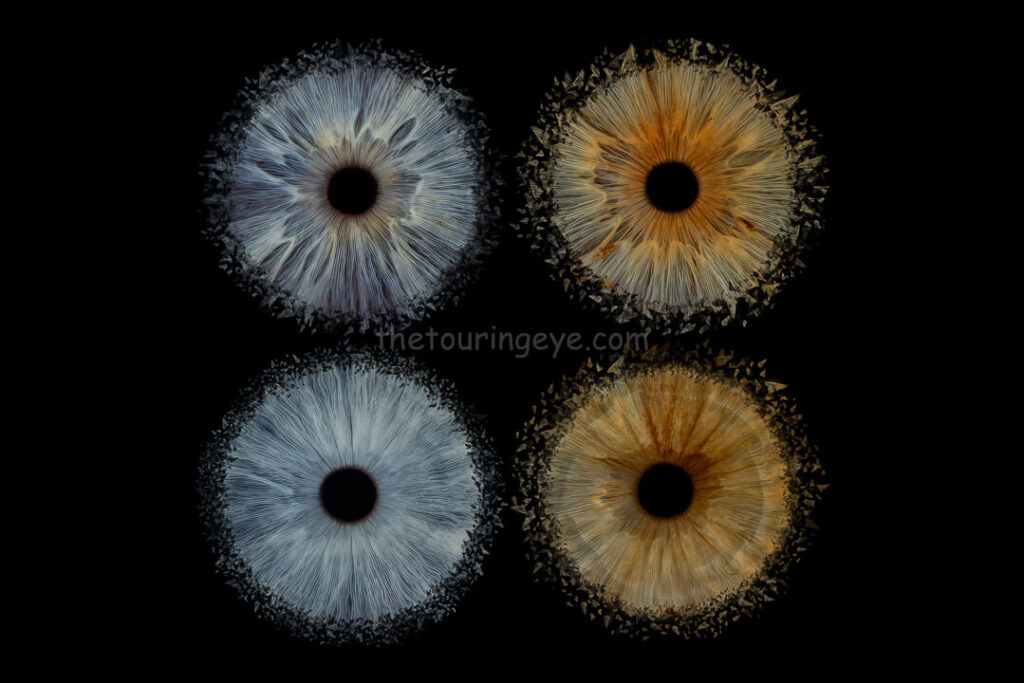A compilation of 4 different eye irises exploding. Iris photography. Eye photography. The Touring Eye. Eye art. Eye artwork.