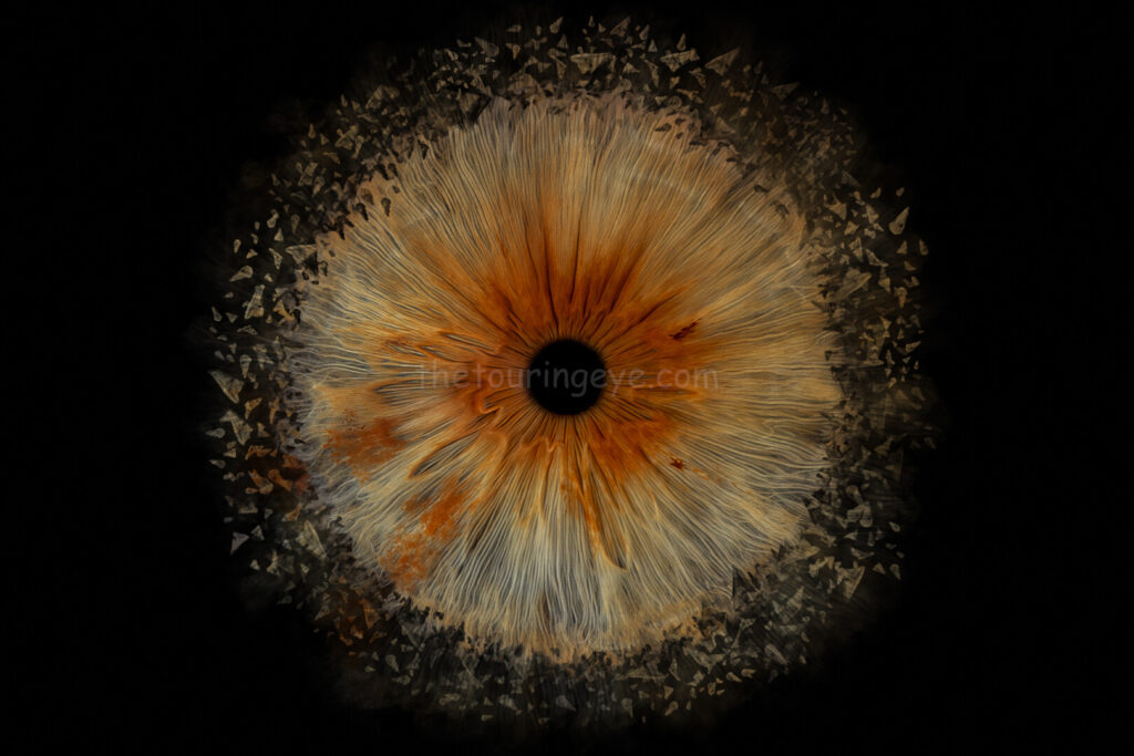 A hazel eye iris with Central heterochromia exploding. Iris photography. Eye photography. The Touring Eye. Eye art. Eye artwork.
